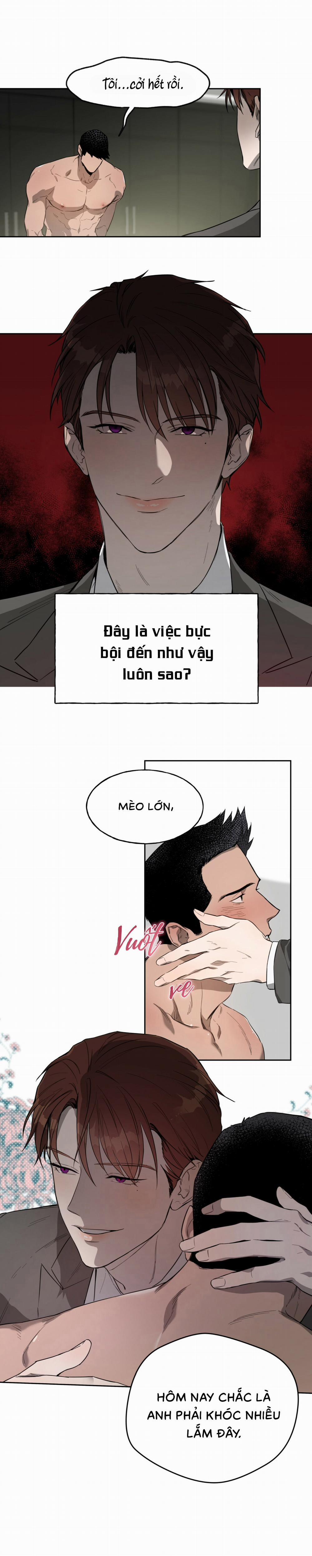 Ang Ang 12 trang 6