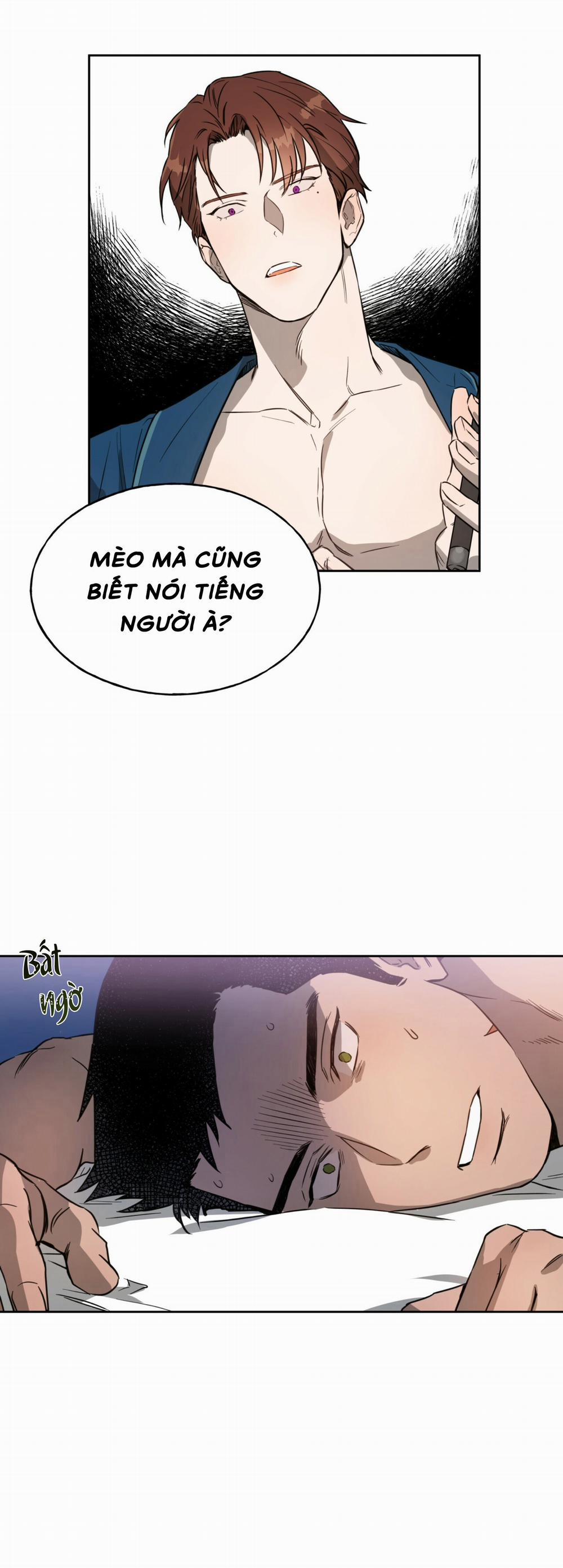 Ang Ang 13 trang 19