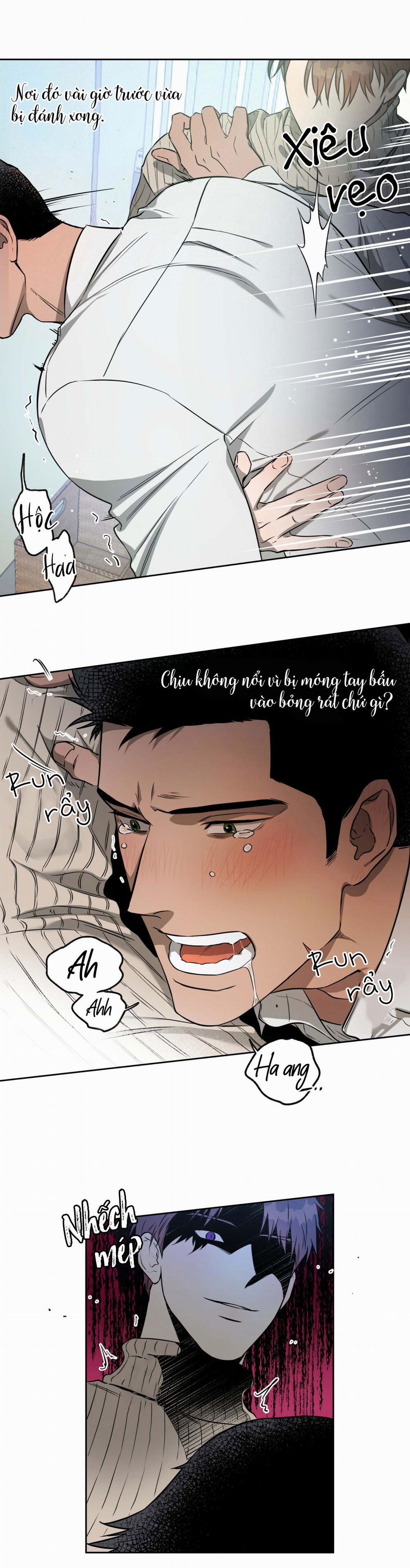 Ang Ang 18 trang 11