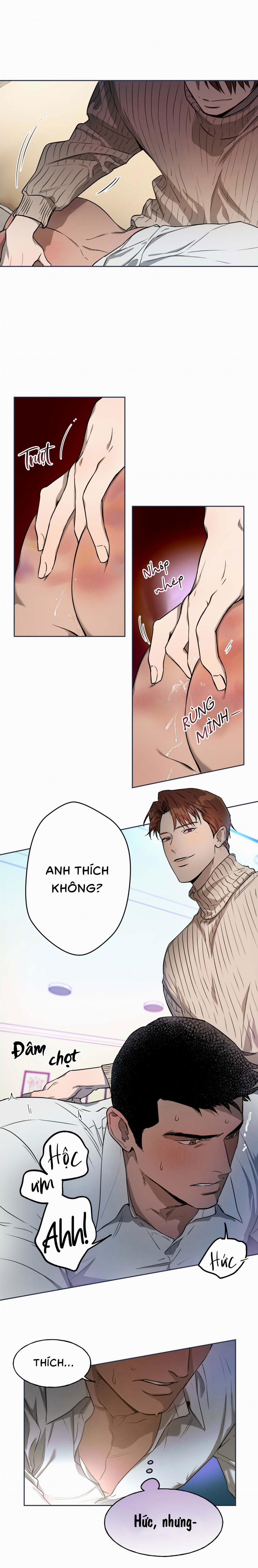 Ang Ang 19 trang 11