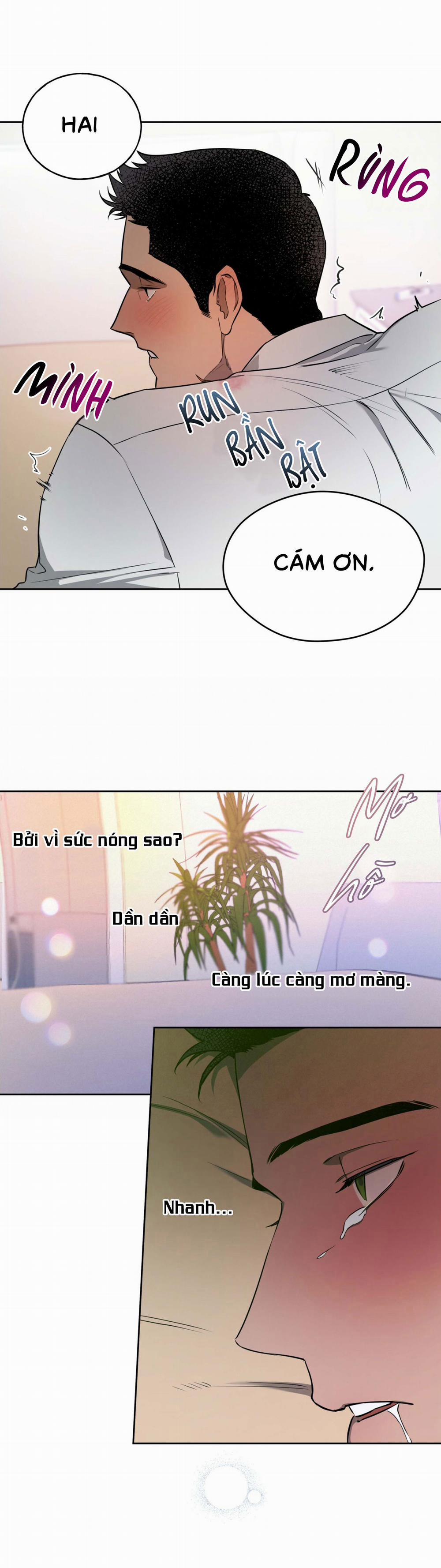 Ang Ang 19 trang 7