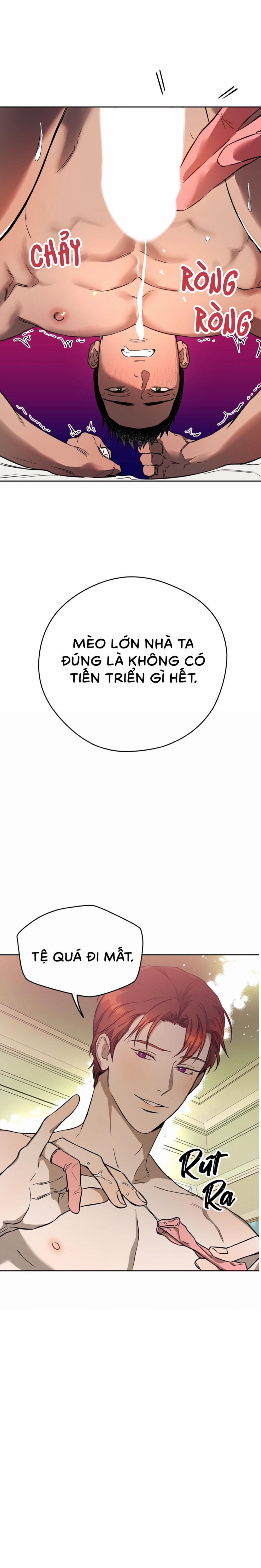 Ang Ang 29 trang 11