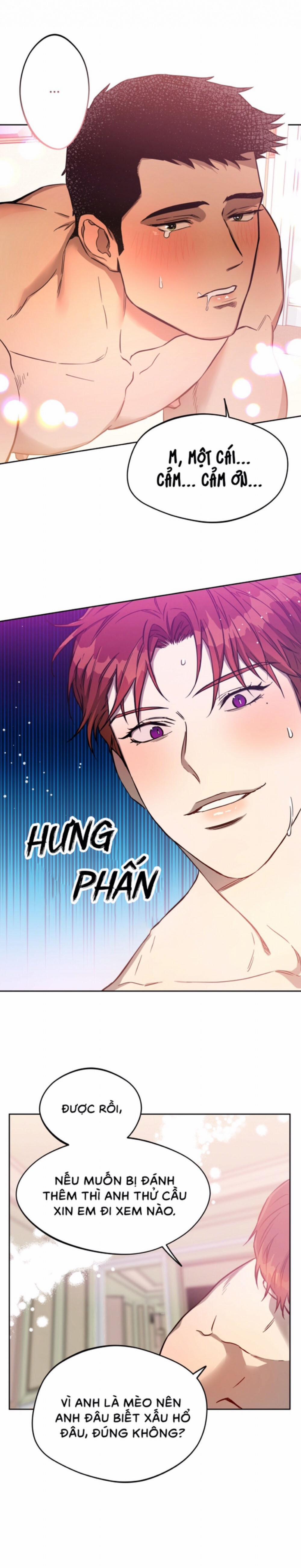 Ang Ang 29 trang 18