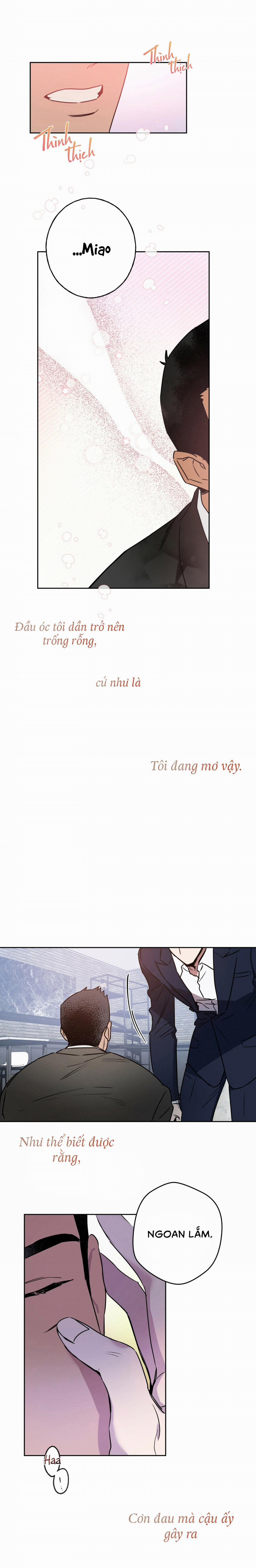 Ang Ang 5 trang 11