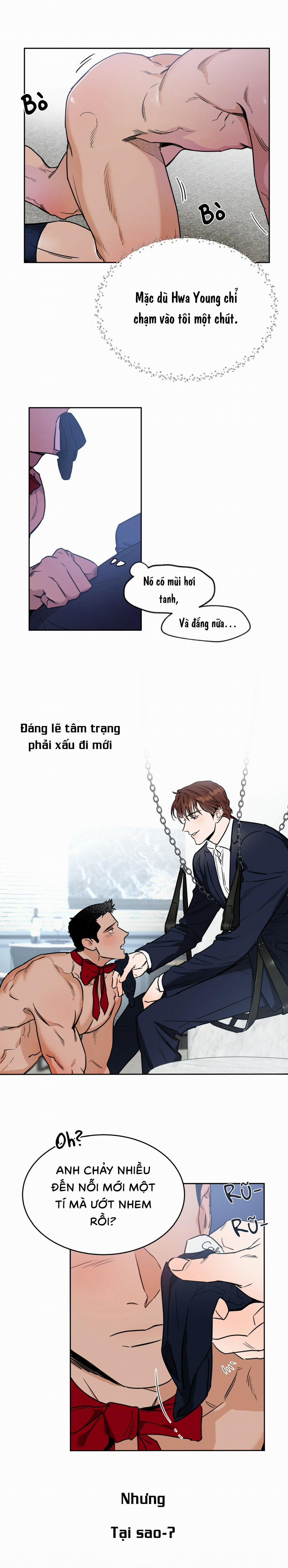 Ang Ang 6 trang 5