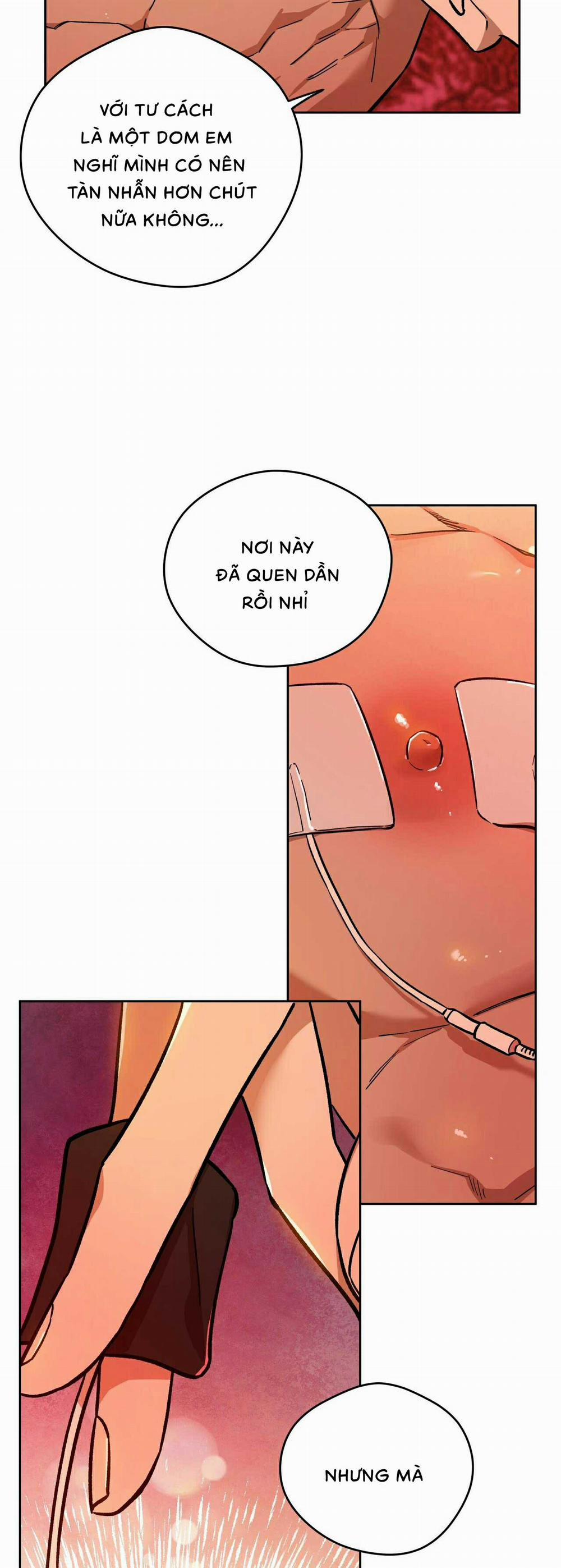 Ang Ang 65 trang 16