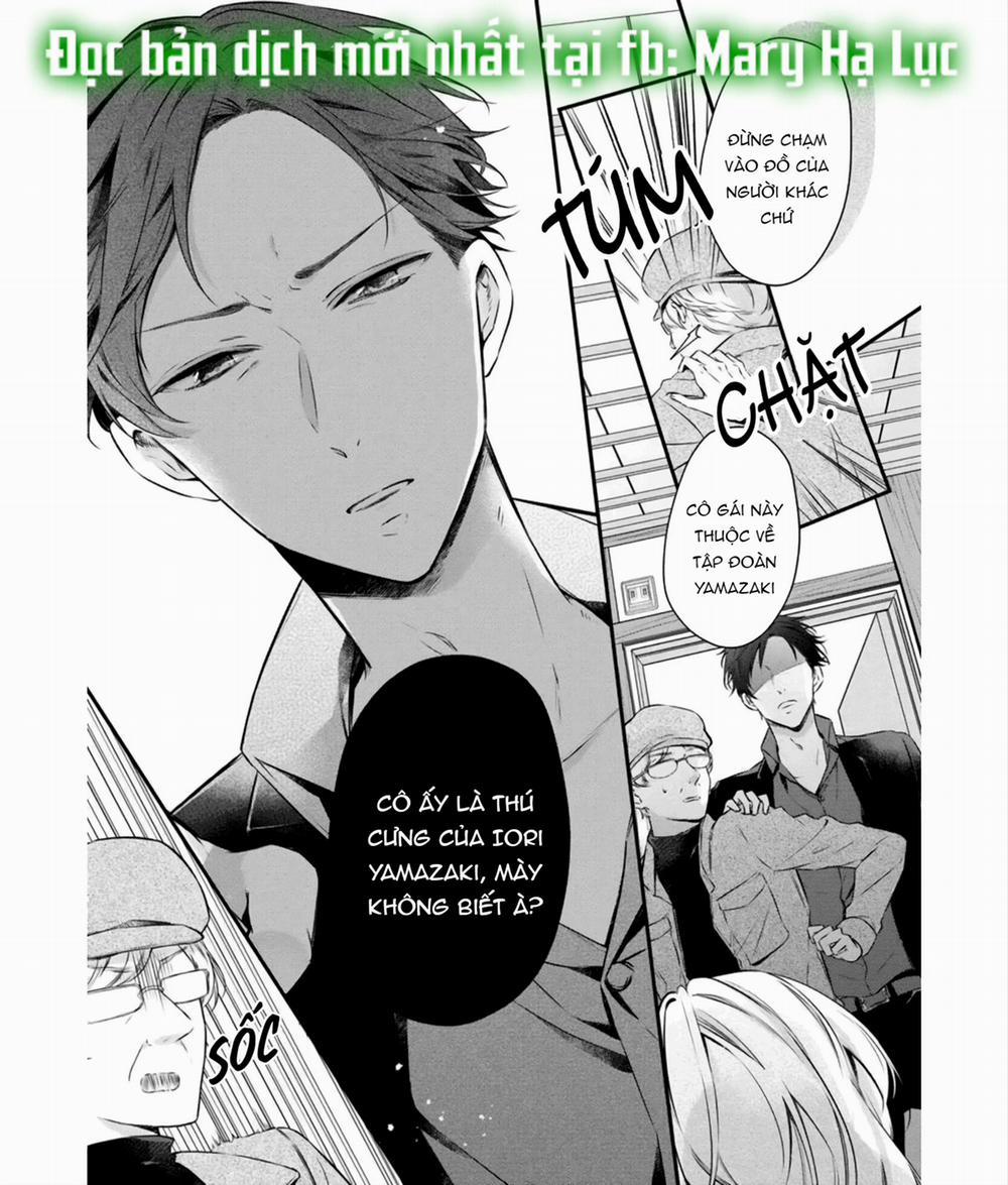 Anh Chàng Tsundere Và Cô Nàng Chippai-Chan: Chàng Yakuza Cưng Chiều Và Bao Nuôi Tôi 1.2 trang 15