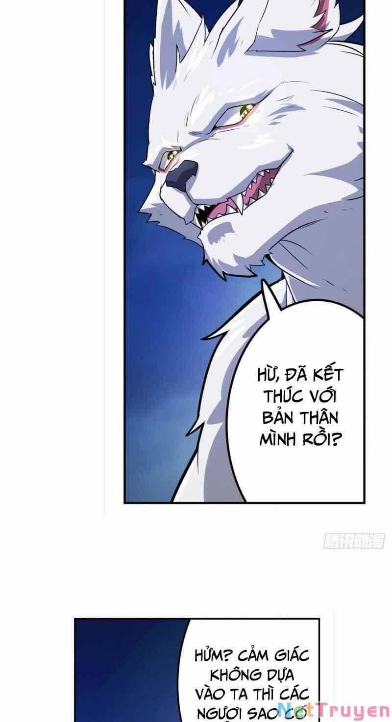 Anh Hùng ? Ta Không Làm Lâu Rồi 440 trang 5