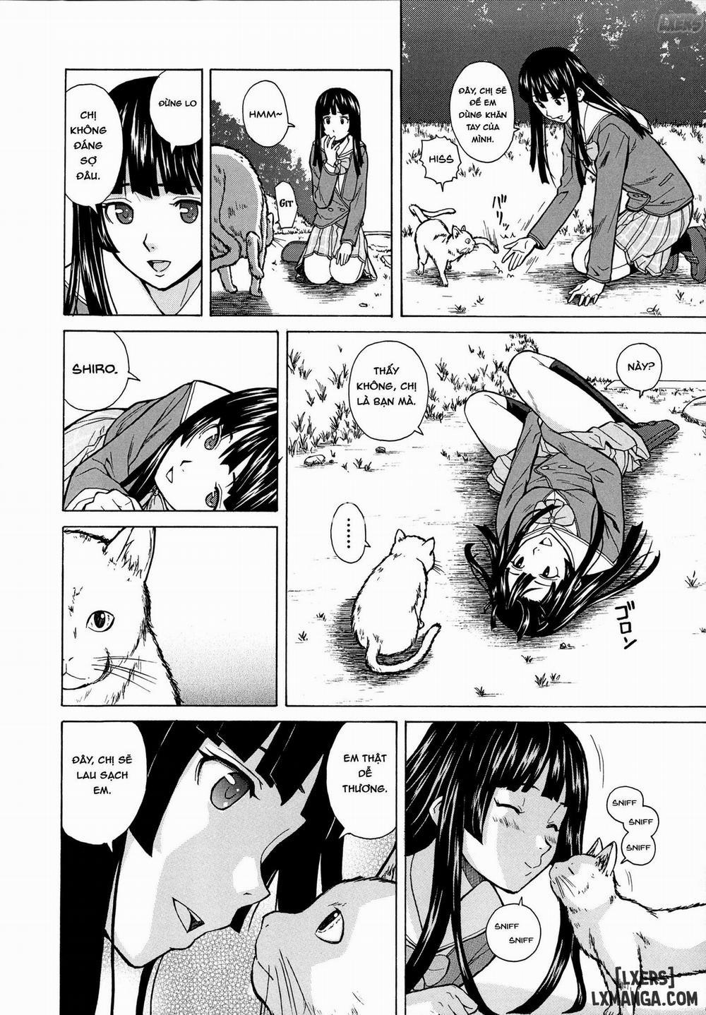 Ani to Imouto no Jijou 2 trang 46