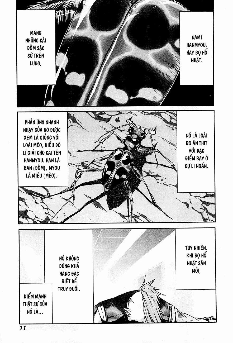 Arachnid 21 trang 13
