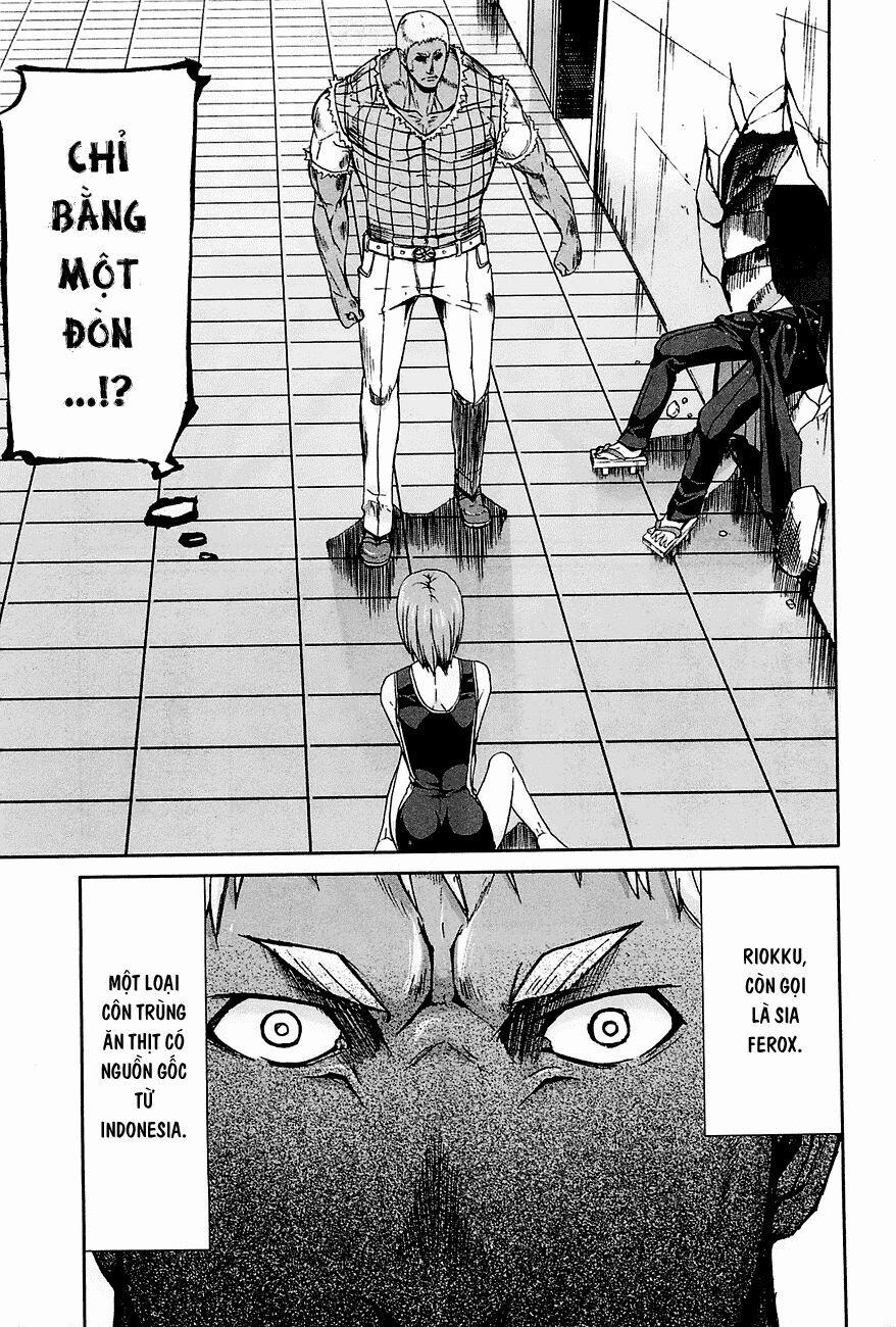 Arachnid 22 trang 17
