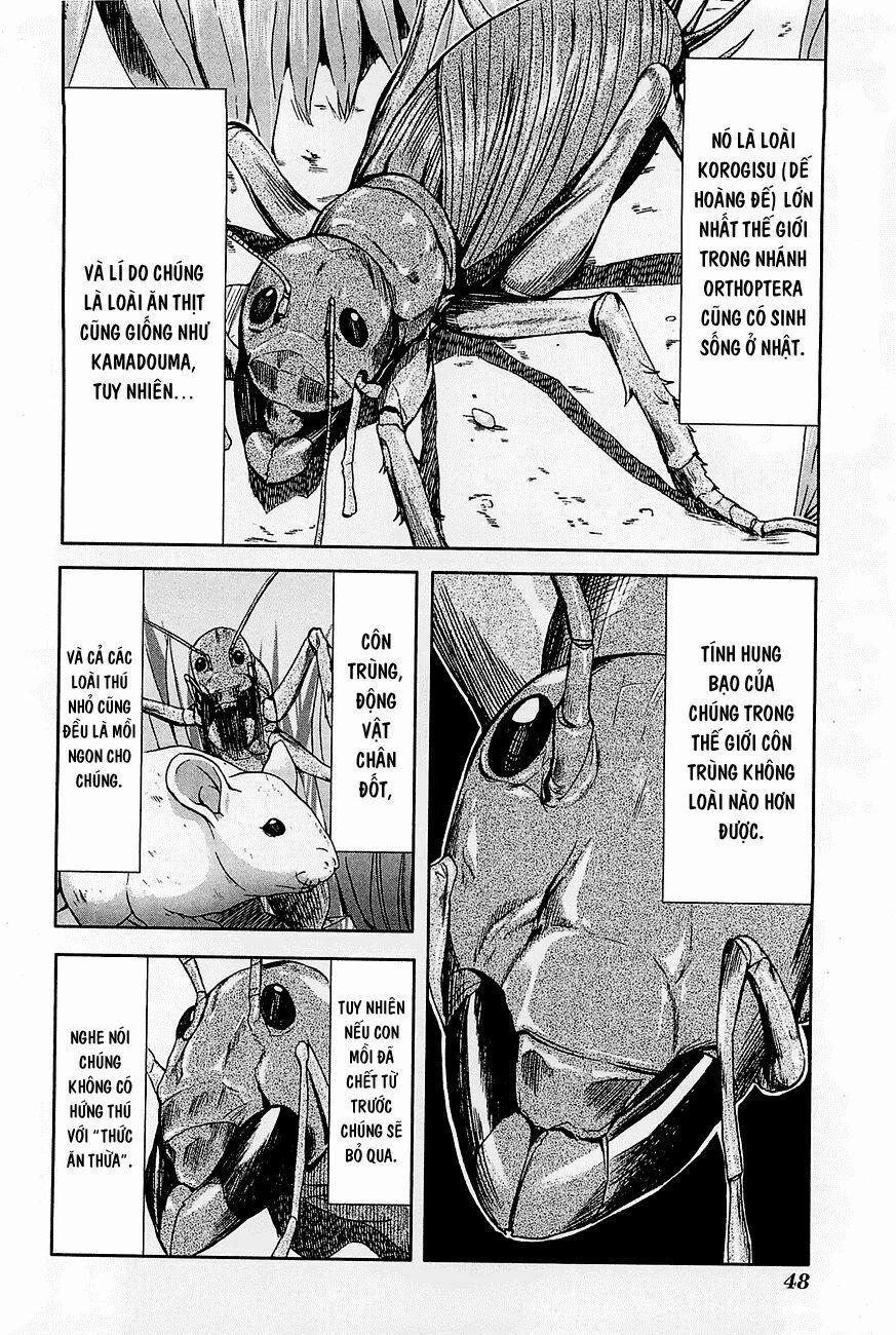 Arachnid 22 trang 18