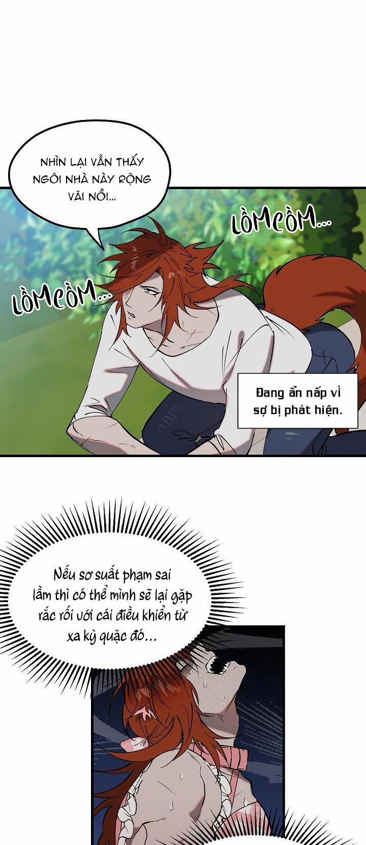 BA CHÚ HEO CON 8 trang 11