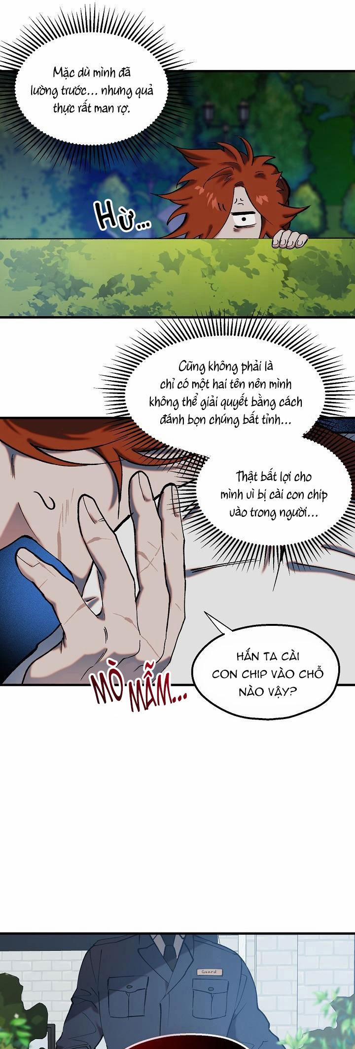 BA CHÚ HEO CON 8 trang 13