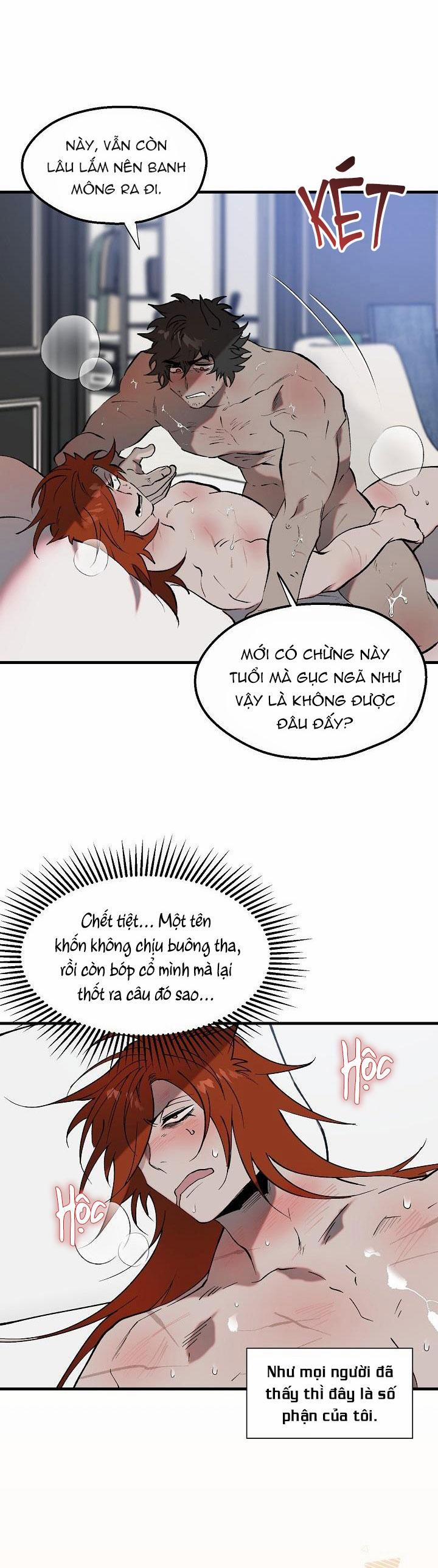 BA CHÚ HEO CON 8 trang 2