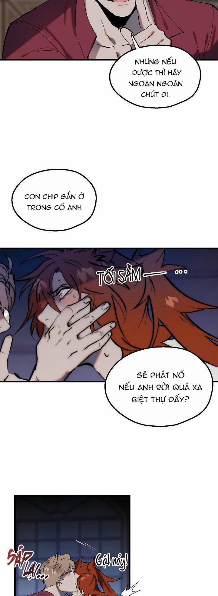 BA CHÚ HEO CON 8 trang 20