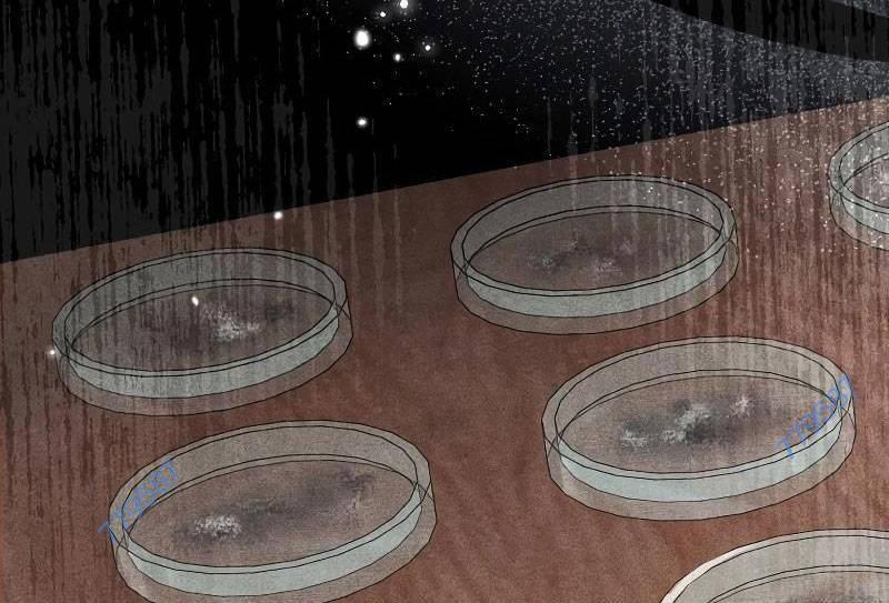 Bác Sĩ Trùng Sinh Về Murim 148 trang 5