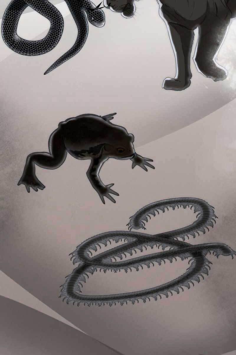 Bác Sĩ Trùng Sinh Về Murim 99 trang 38