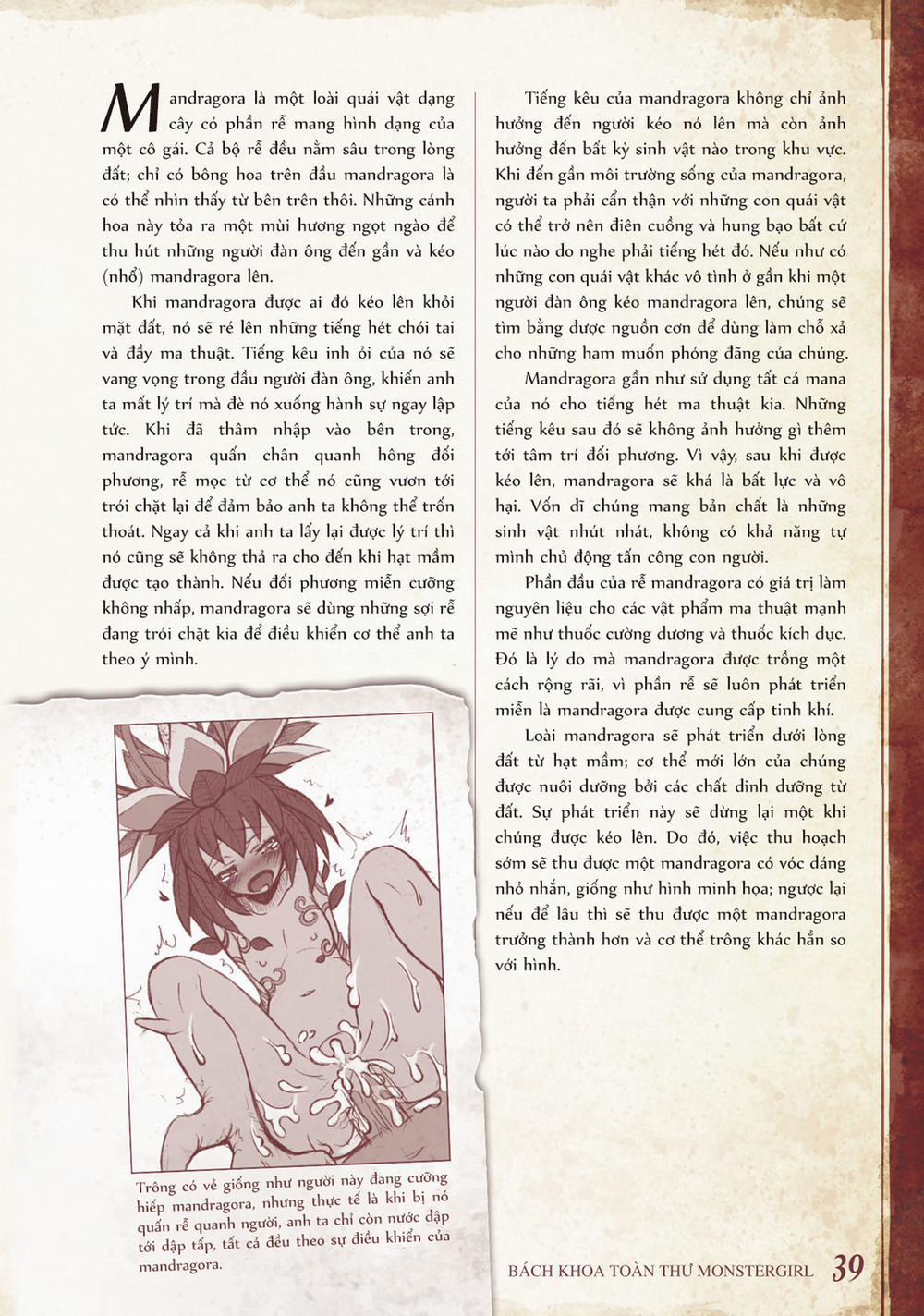 Bách khoa toàn thư Monster Girl 013: Mandragora trang 1
