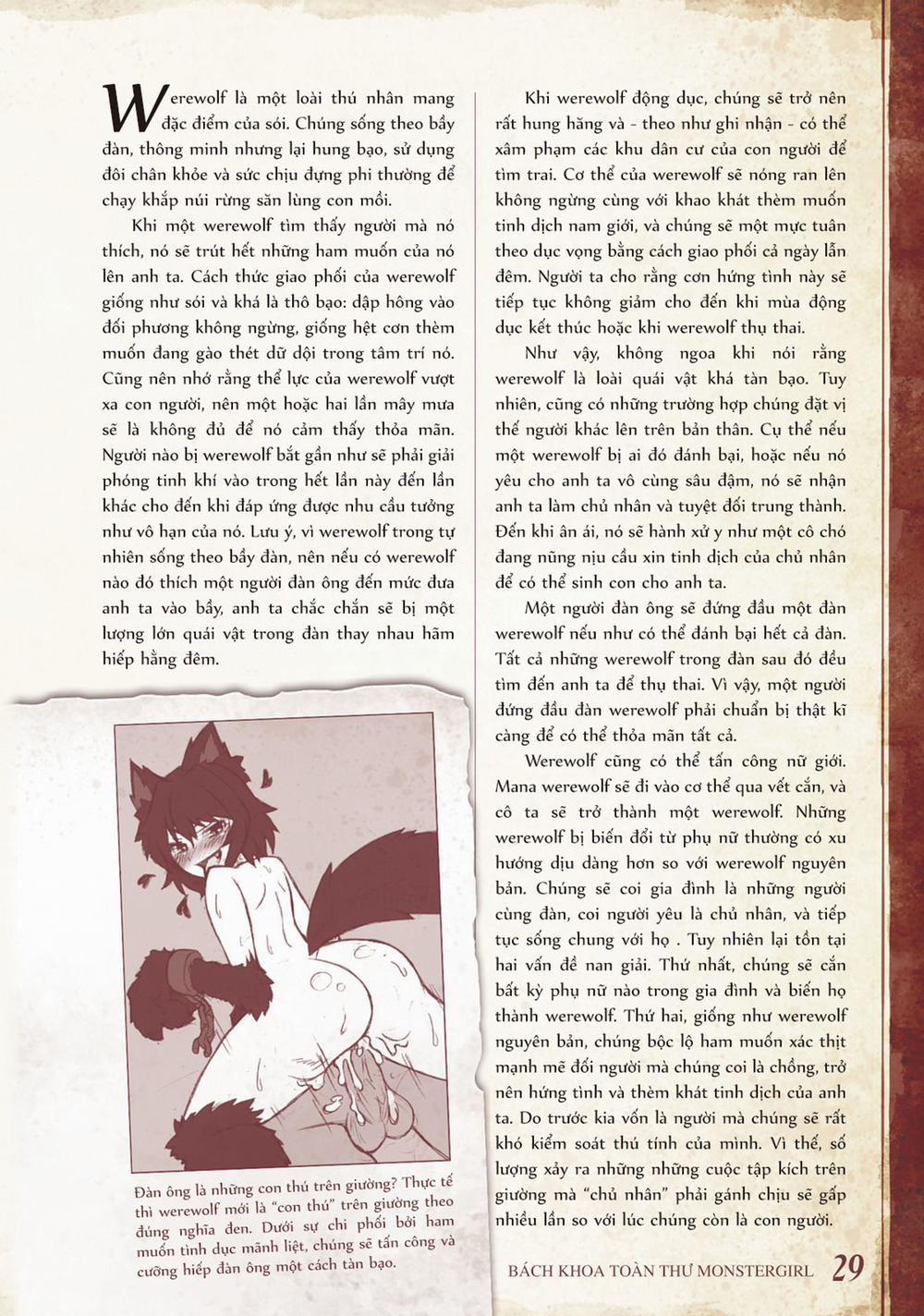 Bách khoa toàn thư Monster Girl 8 0 9 0 10 0 0 Werewolf, Werecat, Wererabbit và Weresheep trang 1