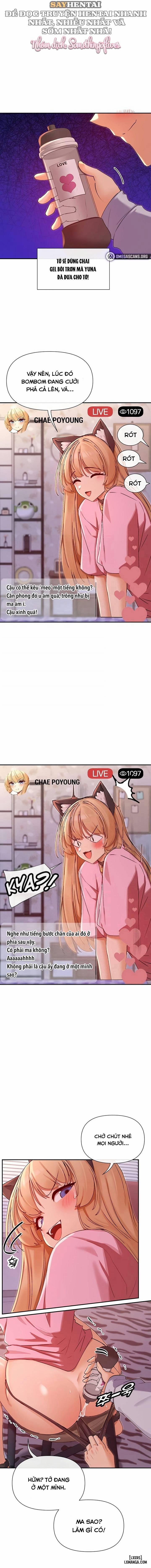 Bạn Có Xem Những Thứ Như Thế Không? 29 trang 7