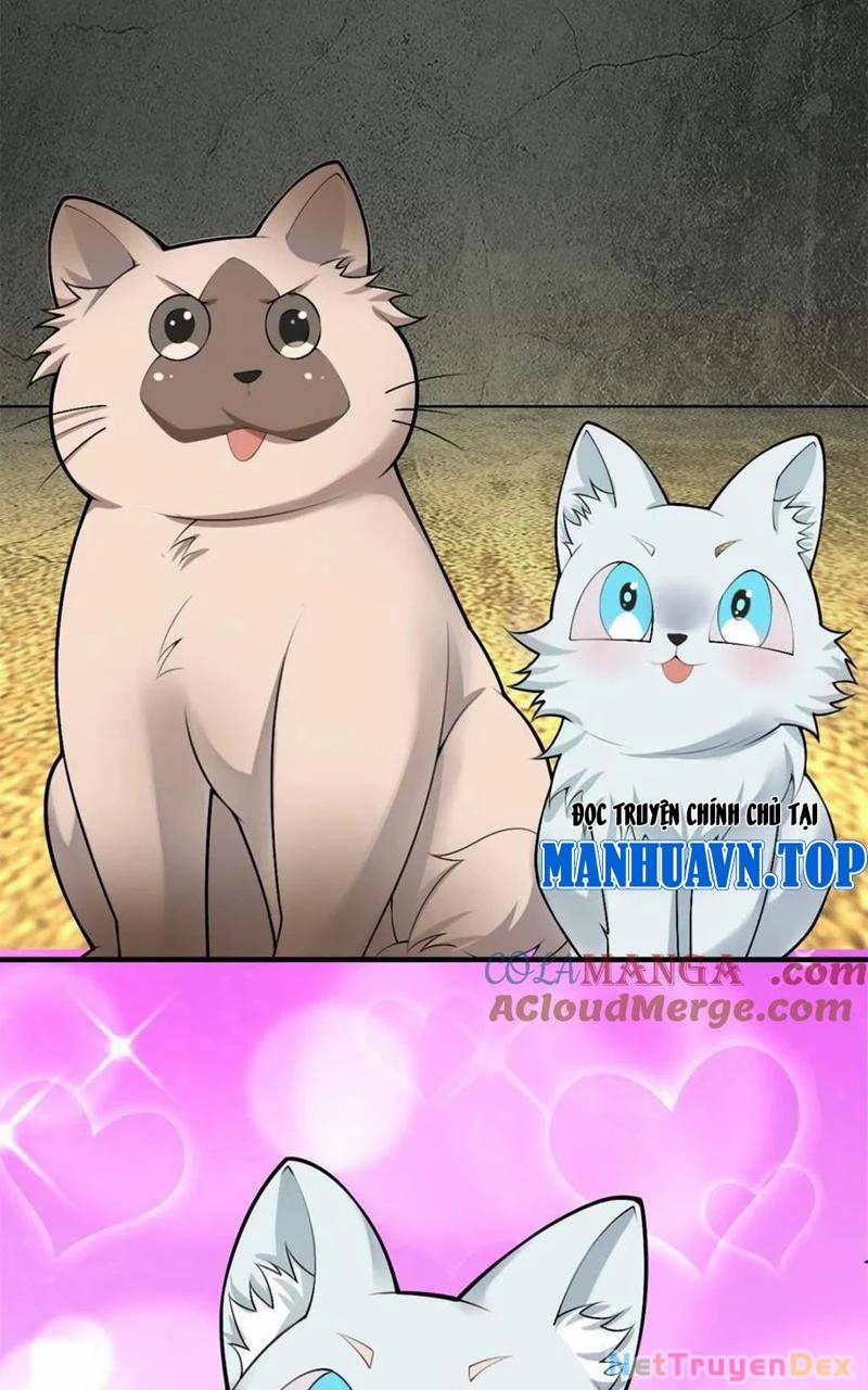 Bạn Gái Tôi Là Một Đại Tiểu Thư Xấu Xa Sao? 84 trang 24