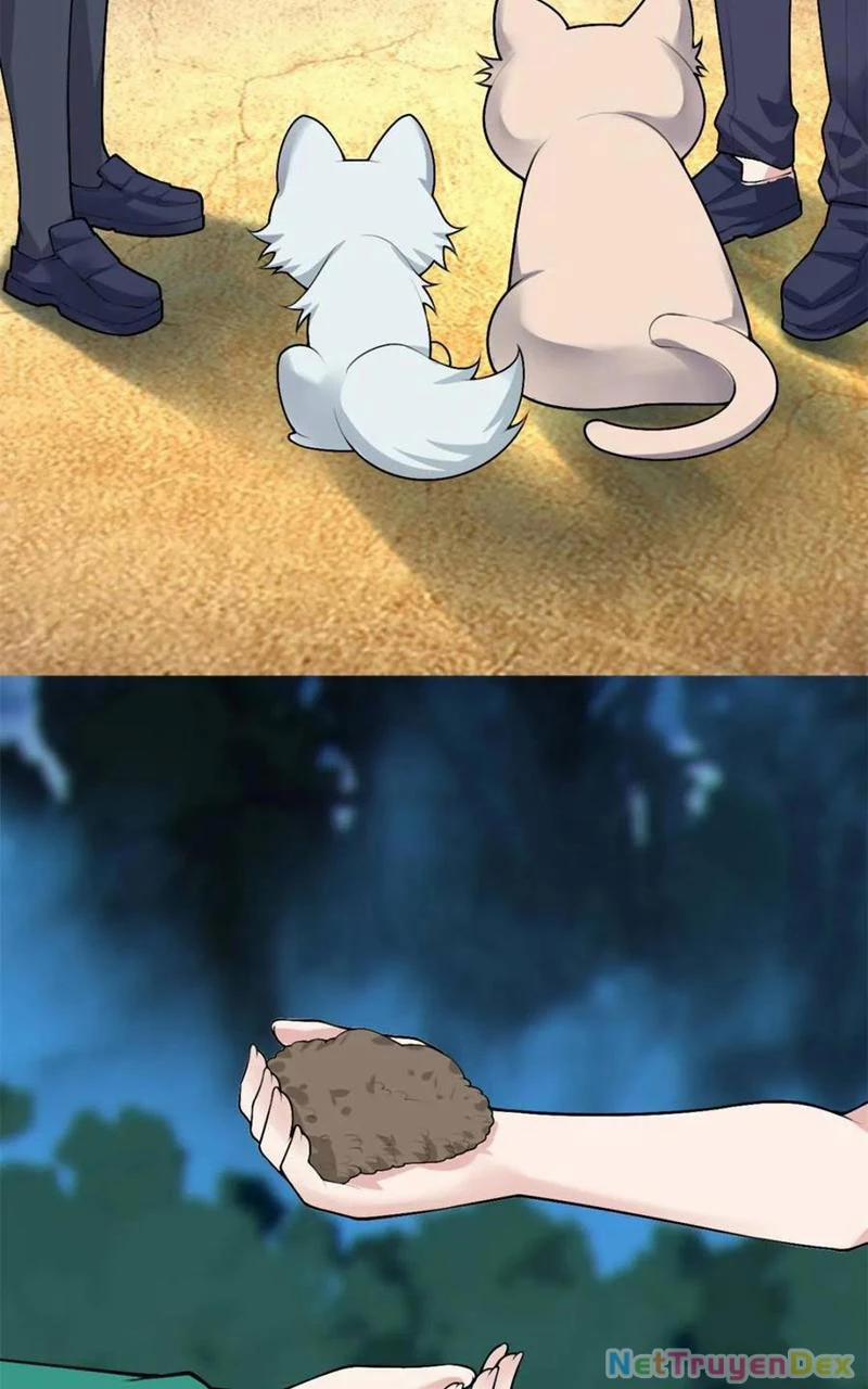 Bạn Gái Tôi Là Một Đại Tiểu Thư Xấu Xa Sao? 84 trang 26