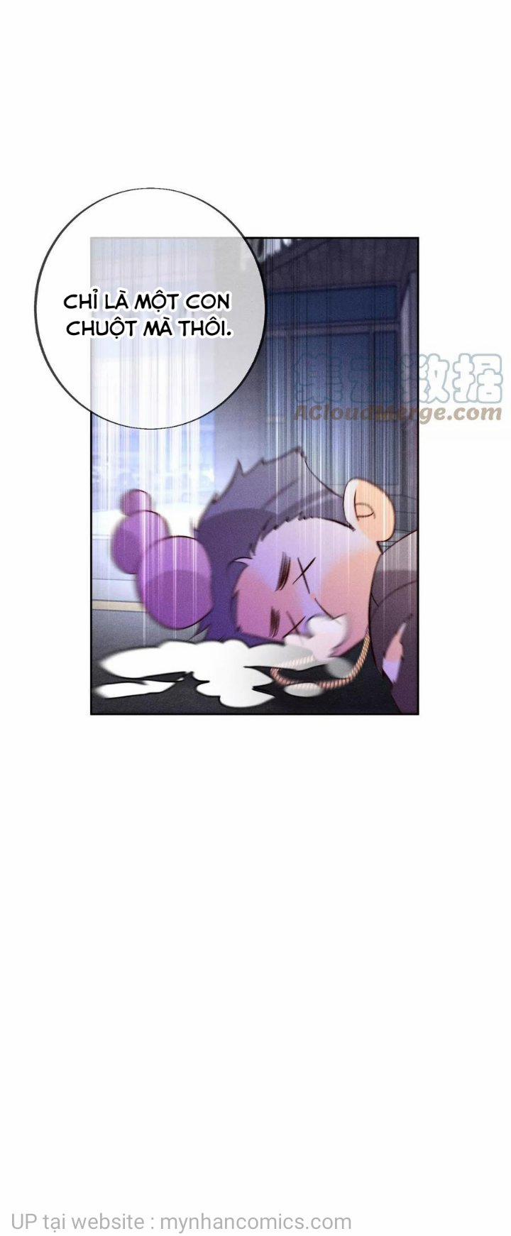 Bạn Trai Nửa Đường Nửa Muối 52 trang 26