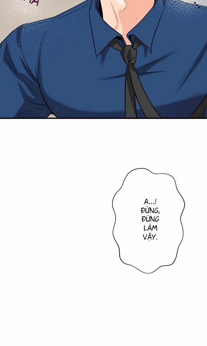 Báo Cáo Thu Thập Dữ Lệu Về Tuyến Tiền Liệt 4 trang 15