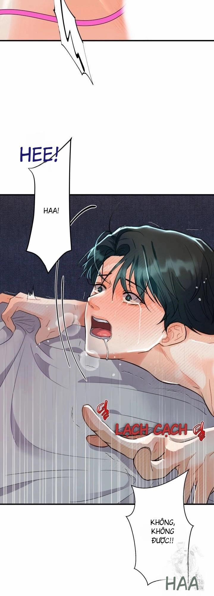 Báo Cáo Thu Thập Dữ Lệu Về Tuyến Tiền Liệt 4 trang 17