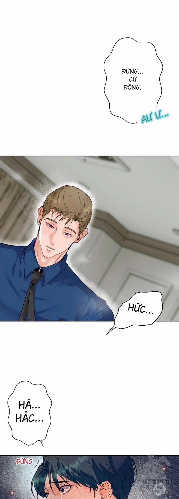 Báo Cáo Thu Thập Dữ Lệu Về Tuyến Tiền Liệt 4 trang 31