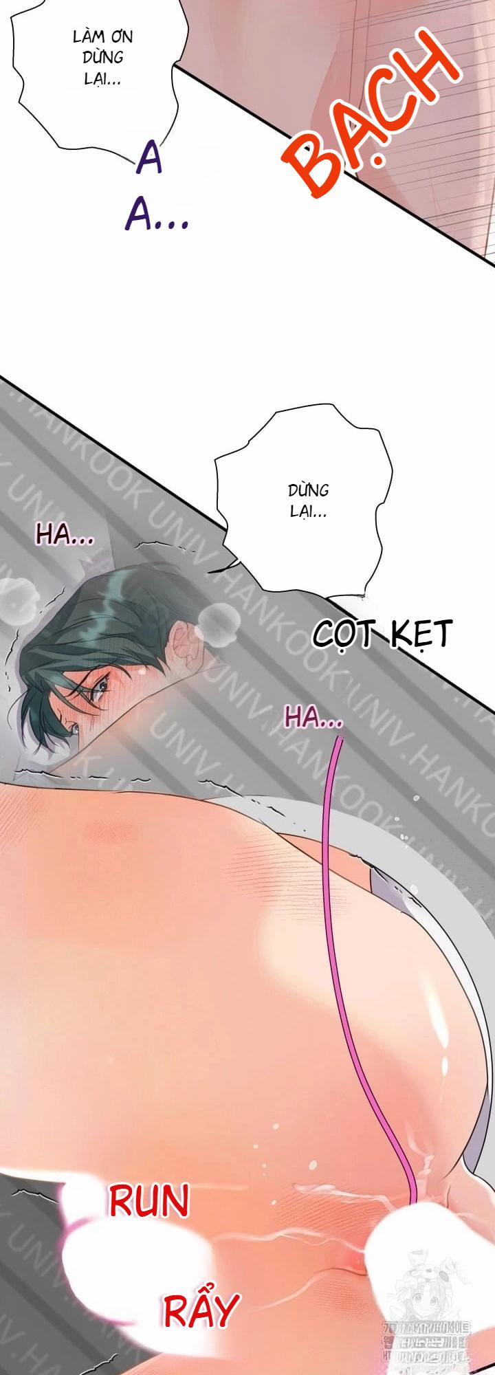 Báo Cáo Thu Thập Dữ Lệu Về Tuyến Tiền Liệt 4 trang 50