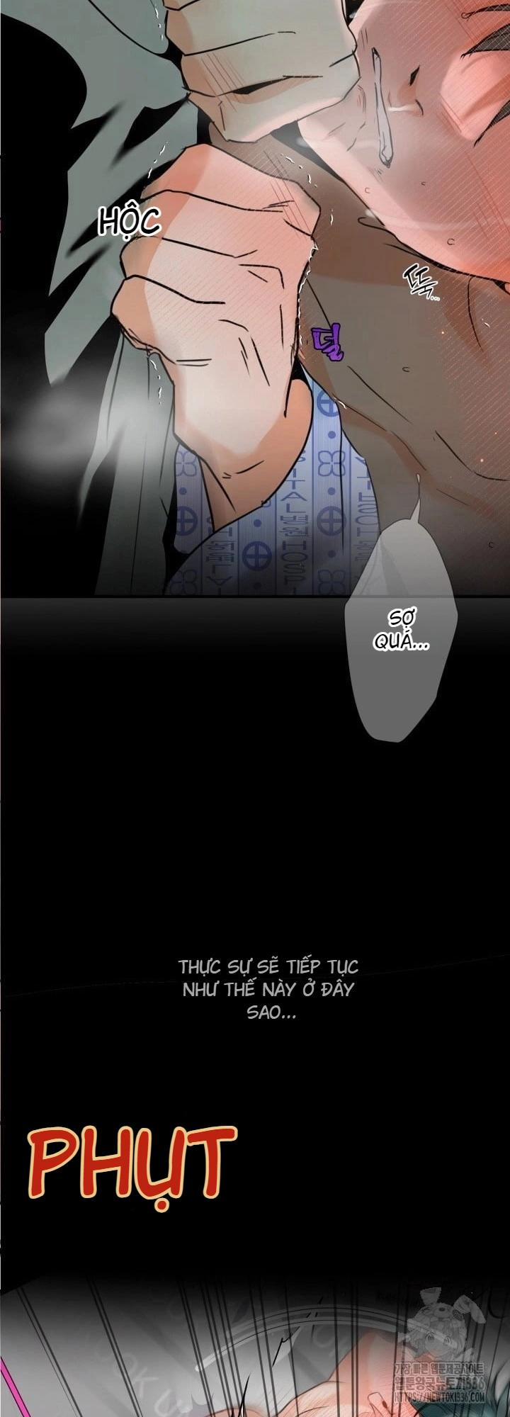 Báo Cáo Thu Thập Dữ Lệu Về Tuyến Tiền Liệt 4 trang 55