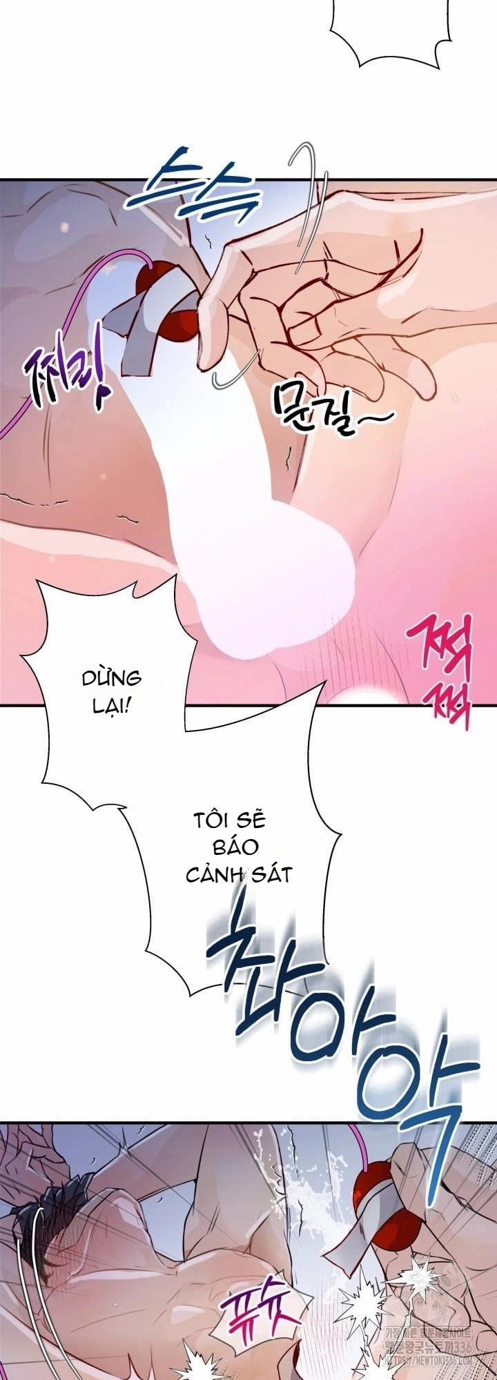 Báo Cáo Thu Thập Dữ Lệu Về Tuyến Tiền Liệt 5 trang 12