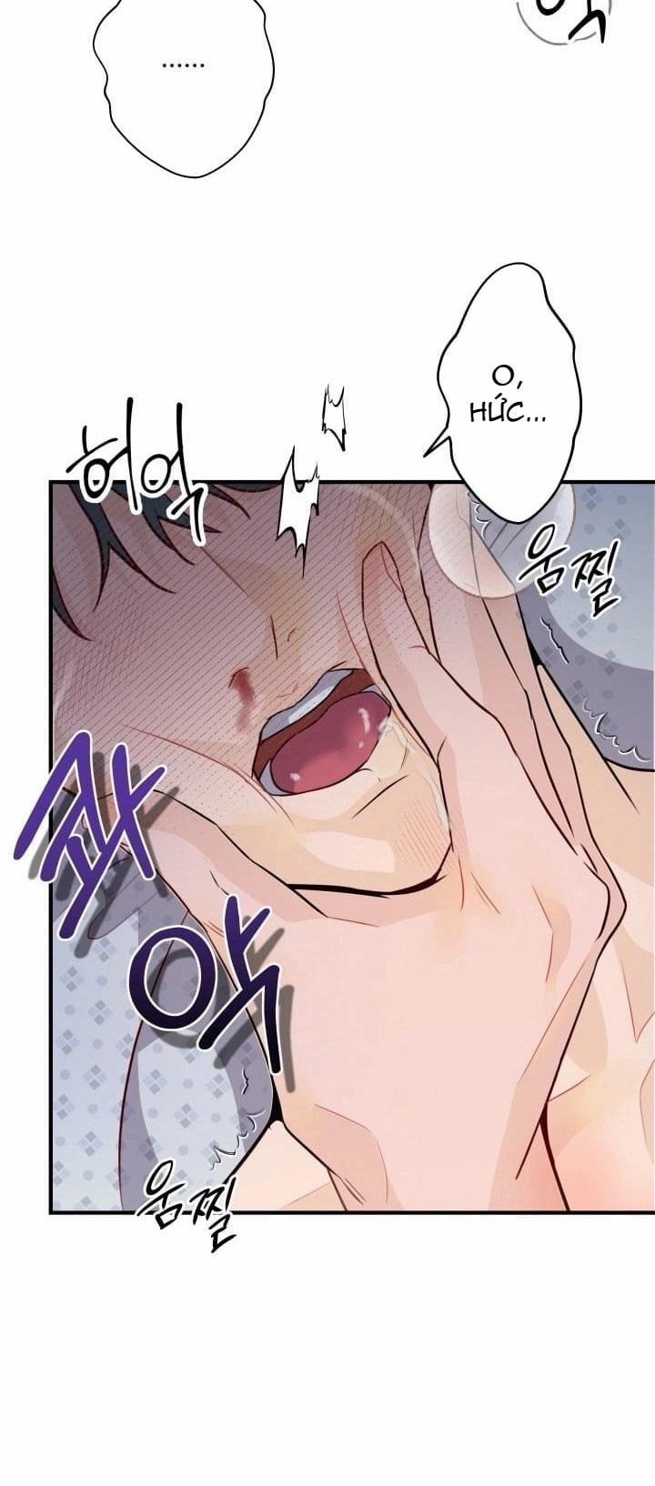 Báo Cáo Thu Thập Dữ Lệu Về Tuyến Tiền Liệt 5 trang 14