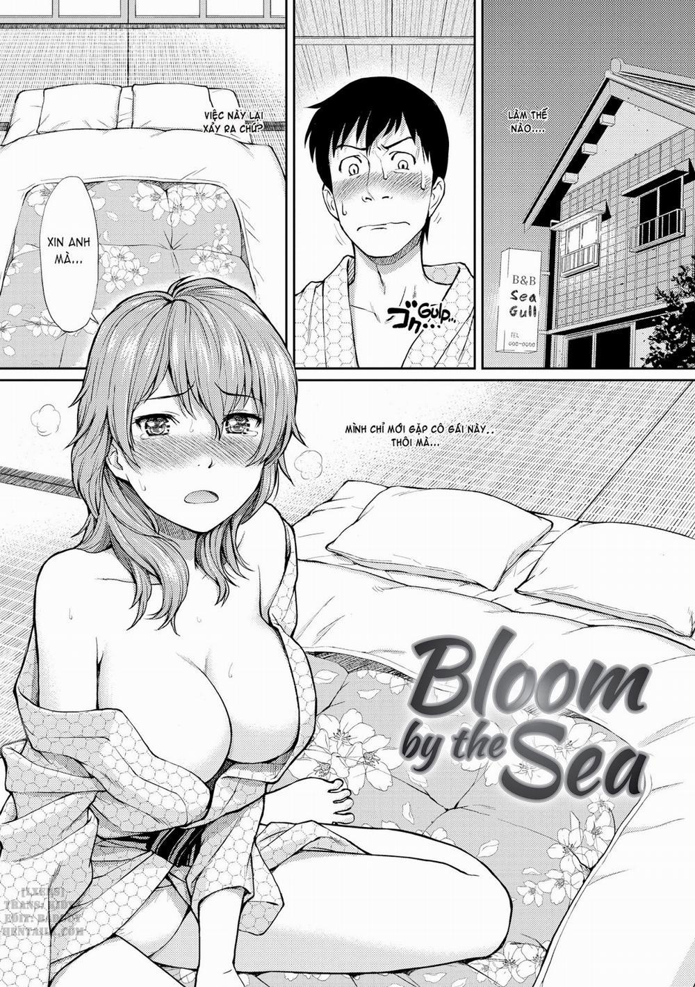 Bashful Break 0 Bloom by the Sea trang 2