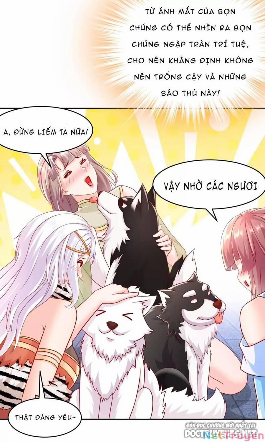 Bắt Đầu Có Được Bảy Vị Tuyệt Sắc Sư Tỷ 36 trang 12
