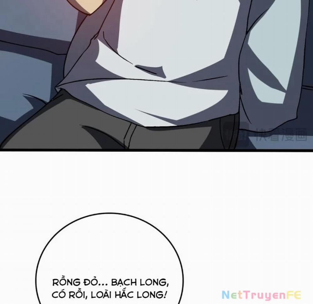 Bắt Đầu Kế Nhiệm Boss Hắc Long, Ta Vô Địch 16 trang 42