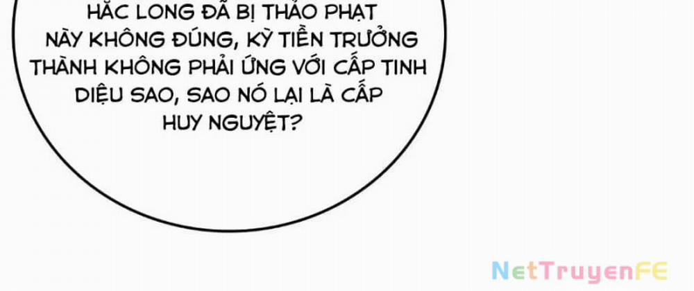 Bắt Đầu Kế Nhiệm Boss Hắc Long, Ta Vô Địch 16 trang 52