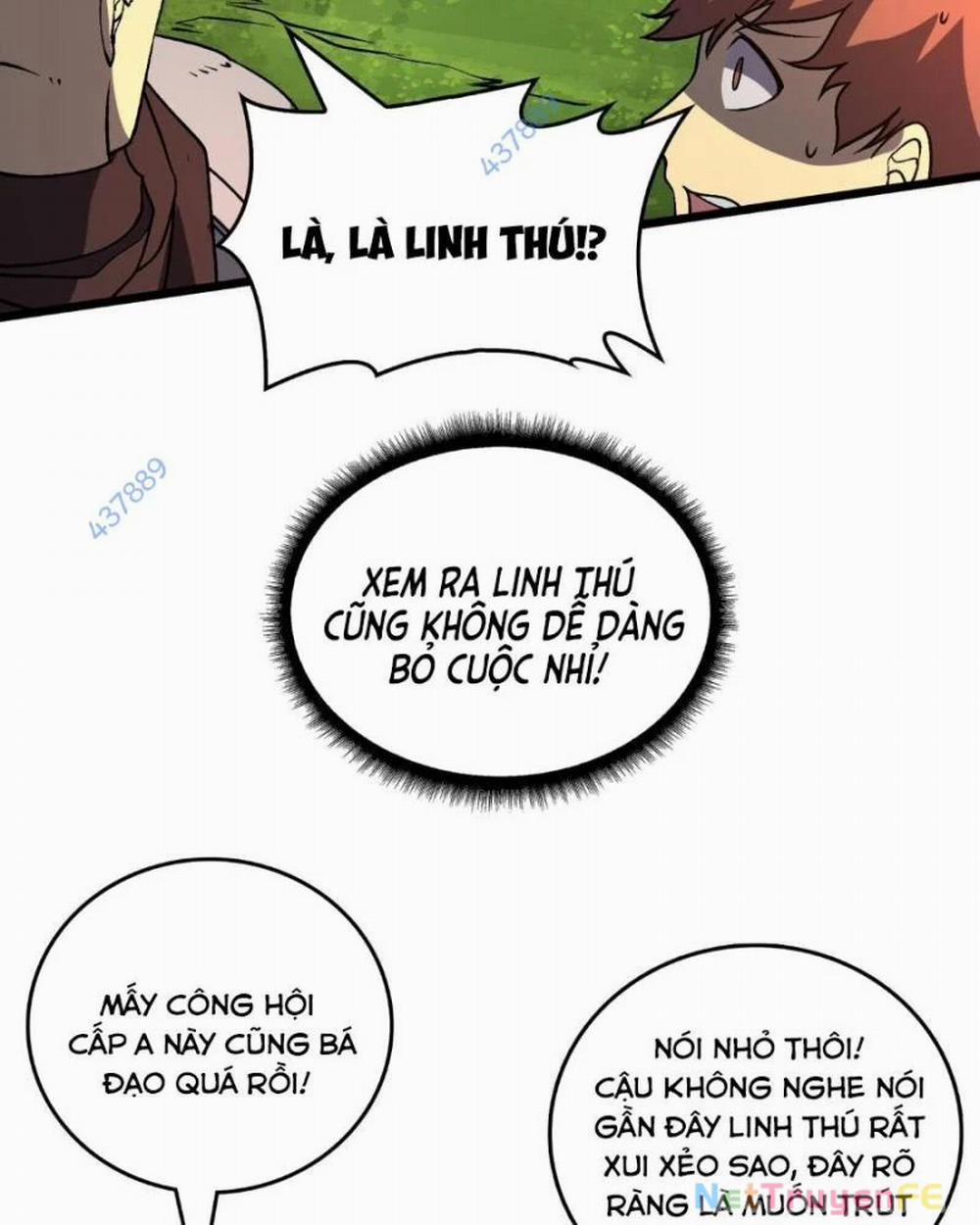 Bắt Đầu Kế Nhiệm Boss Hắc Long, Ta Vô Địch 17 trang 12