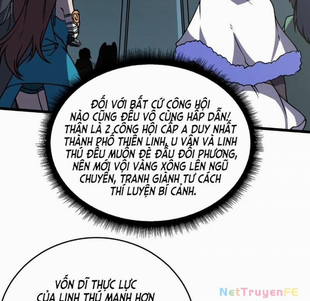 Bắt Đầu Kế Nhiệm Boss Hắc Long, Ta Vô Địch 17 trang 7
