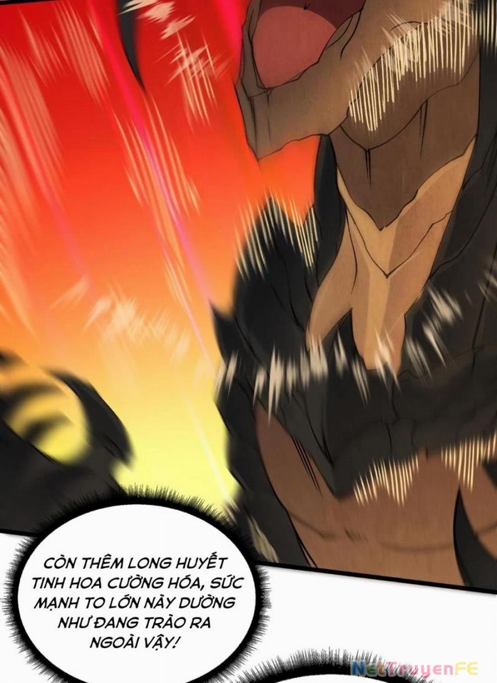 Bắt Đầu Kế Nhiệm Boss Hắc Long, Ta Vô Địch 32 trang 4