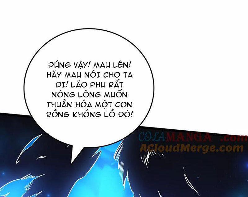Bắt Đầu Kế Nhiệm Boss Hắc Long, Ta Vô Địch 40 trang 15