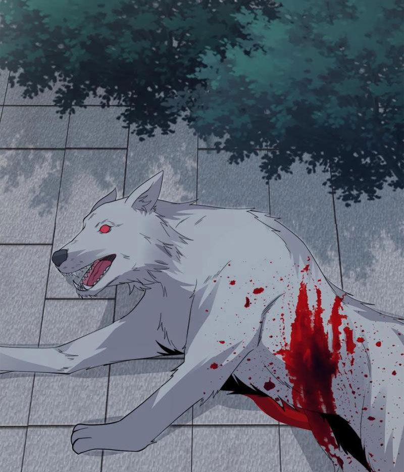 Bắt Đầu Livestream Ở Địa Phủ: Phát Sóng Trực Tiếp Ở Đây Ai Dám Đến 263 trang 29