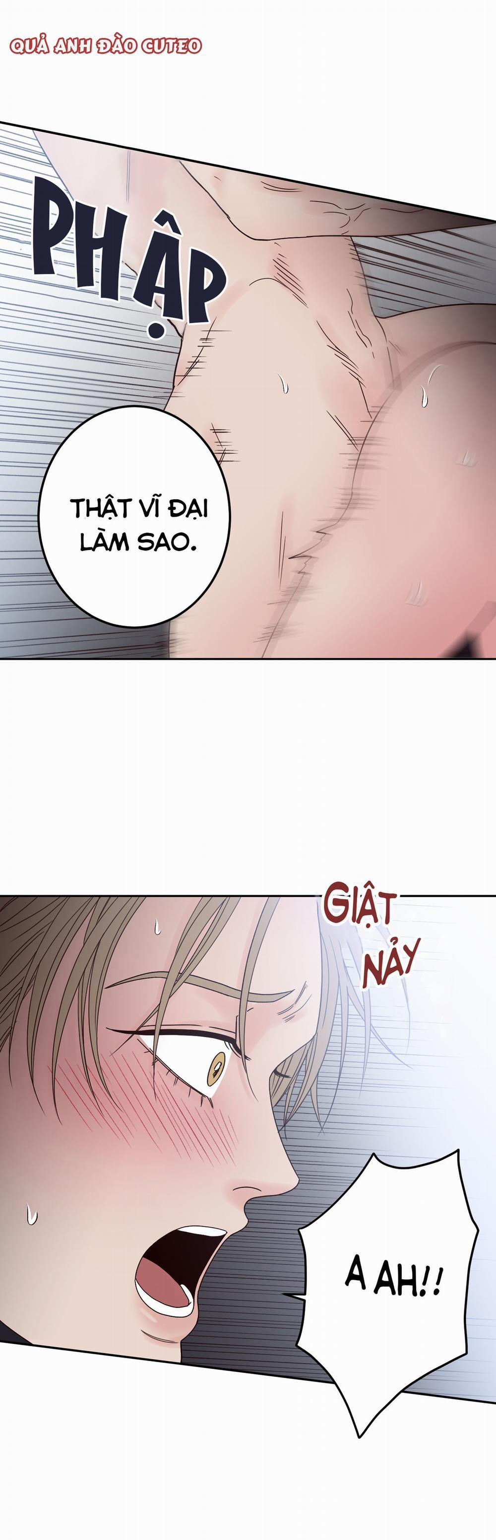 Bất Khả Kháng 4 trang 20