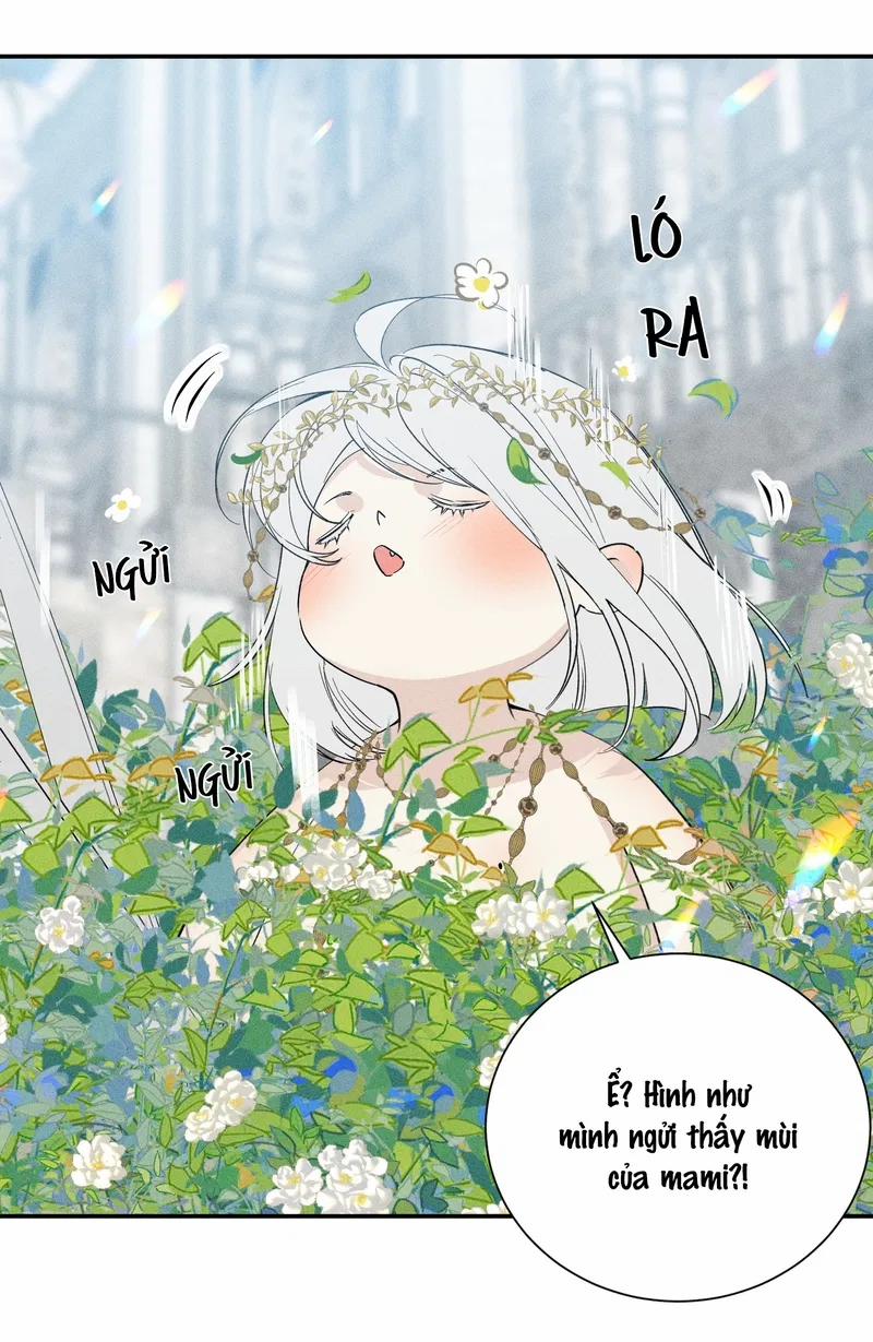 Bất Quy Tắc 5.5 trang 16