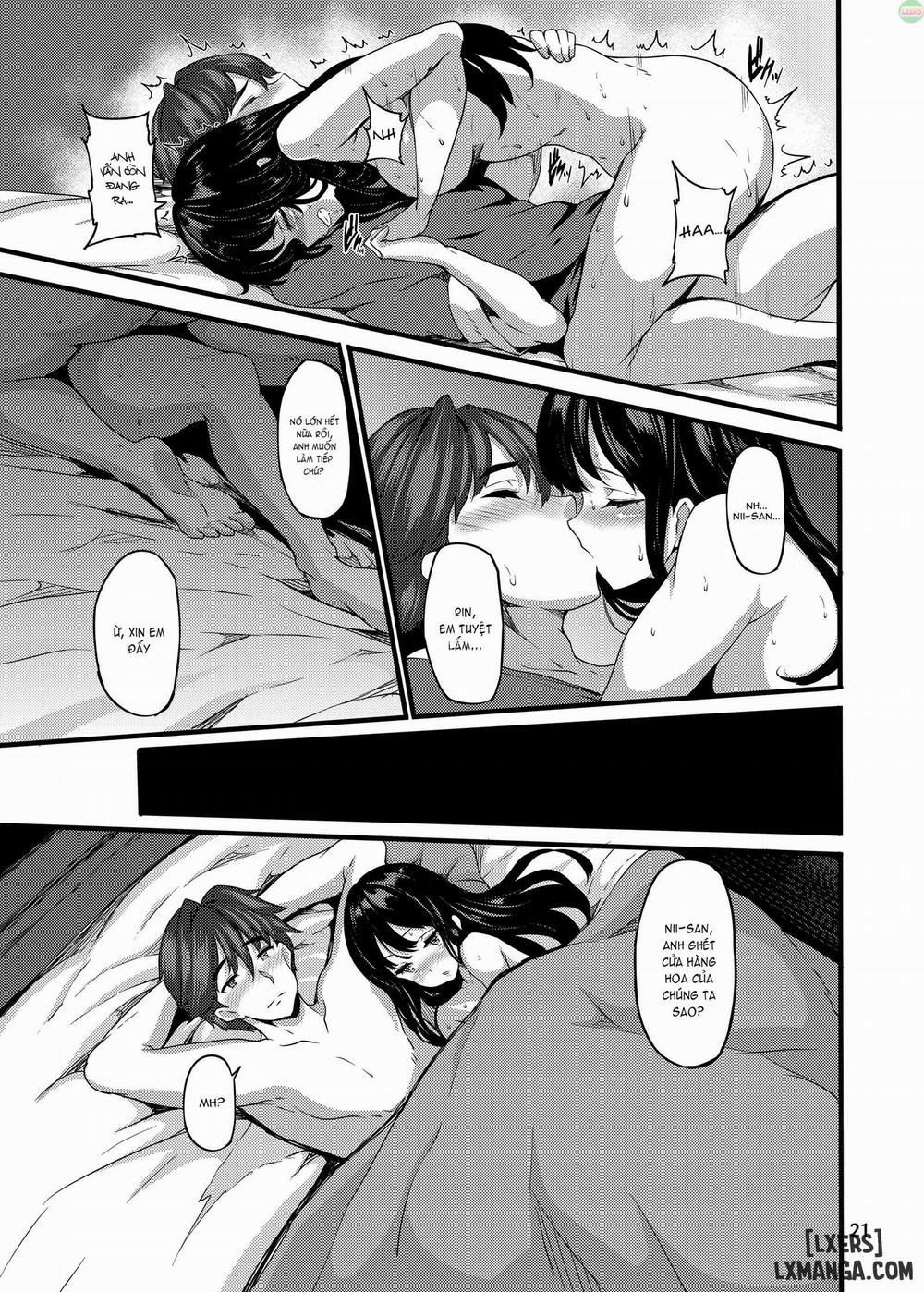 Bergamo Oneshot trang 19