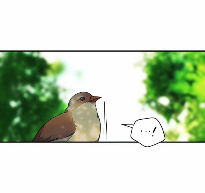 Bị Che Khuất Bởi Mặt Trời Lặn 15 trang 22