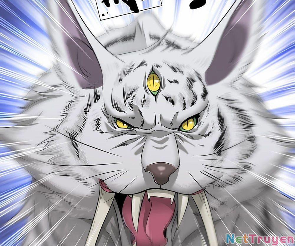 Bị Giam Cầm Trăm Vạn Năm Đệ Tử Ta Trải Khắp Chư Thiên Thần Giới 20 trang 64