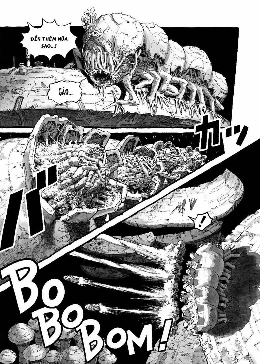 Bibliomania 3 trang 24